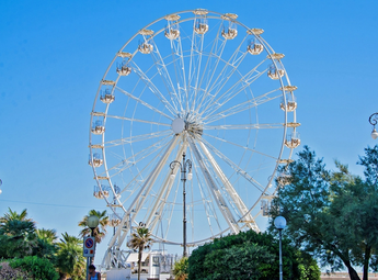 Ferris Wheel(30m)