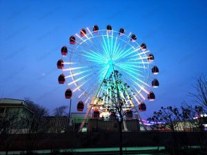 ferris wheel for sale