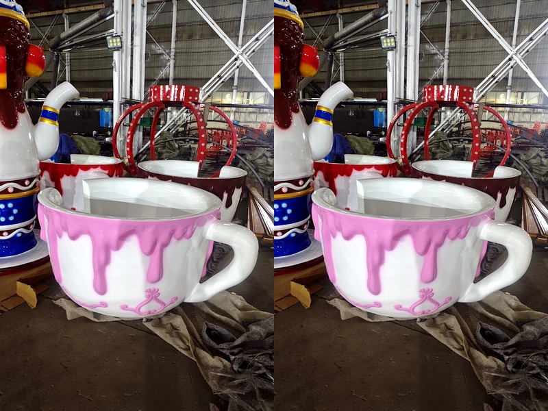 Tea cup attraction and its surrounding guest area